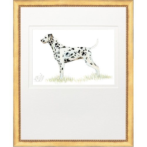 KS- HUNTING DOG 11